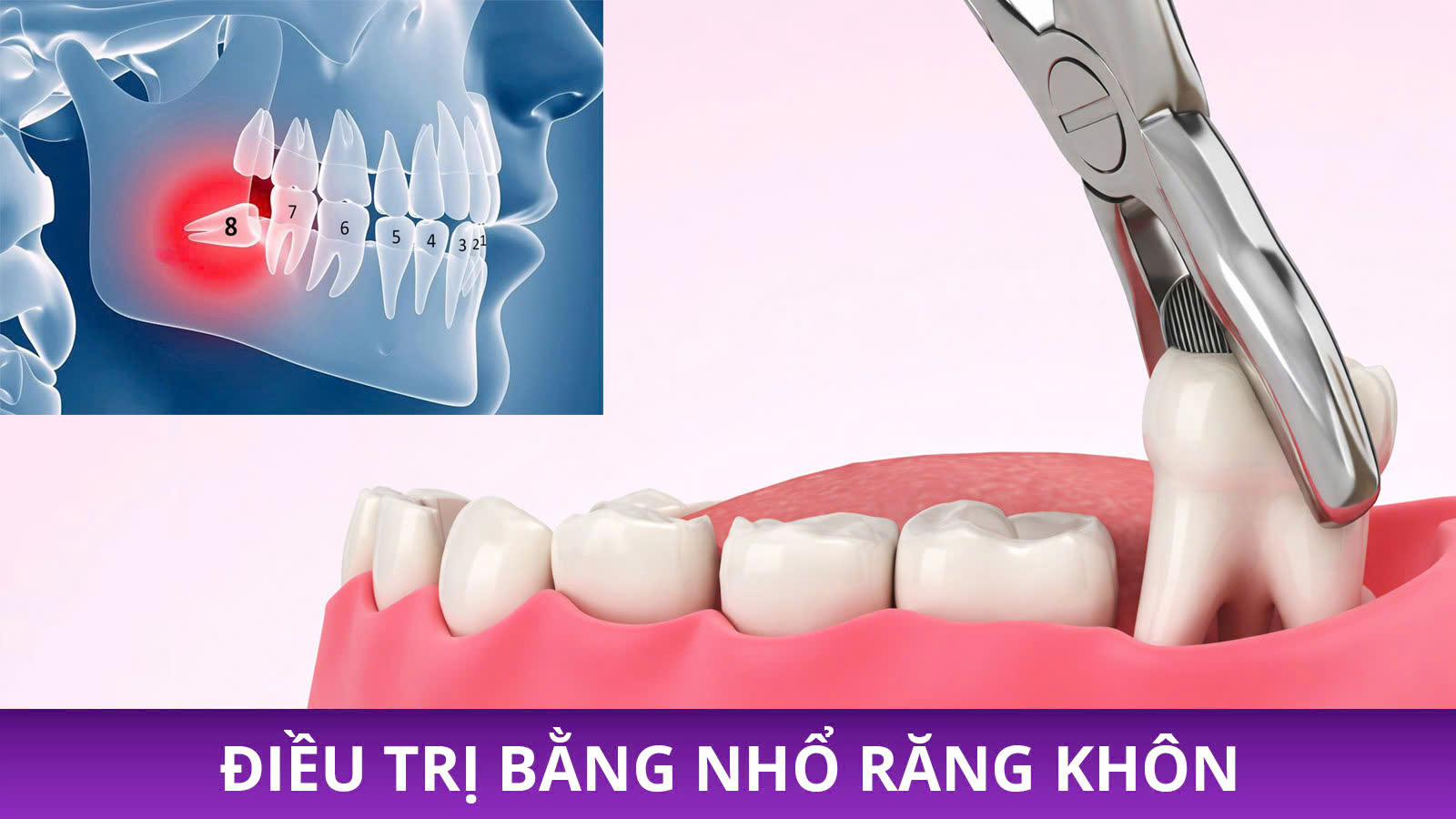 z7351735614954_18bb69e4ae75be8685f212cdd5a3bf66