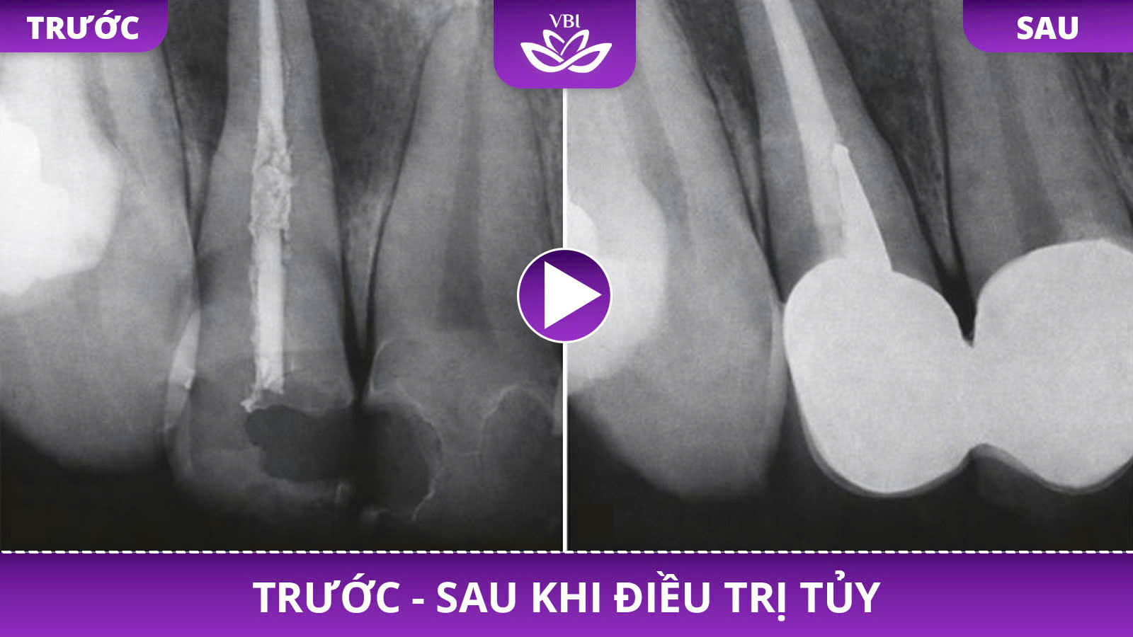 z7437126354638_c39c19802c9b7b4d75717528cdba9c3b